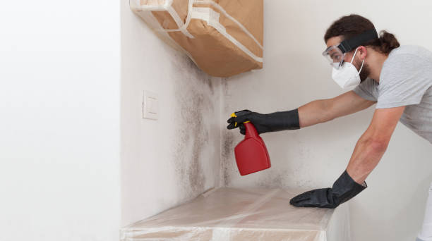 Professional Black Mold Removal technician working in Rahway, NJ