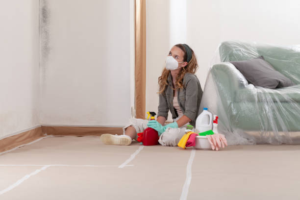 Reliable Black Mold Removal contractor in Rahway, NJ by WQB Mold Removal